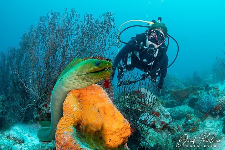 Aruba Red Sail Sports One or Two Tank Scuba Dive