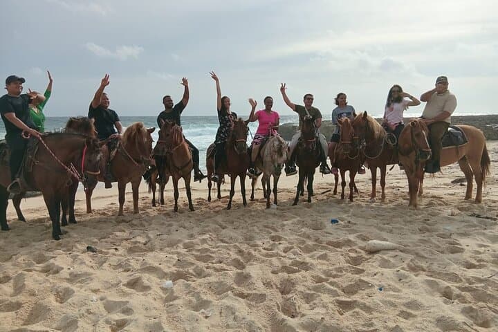 Shore Excursion: Aruba's Ecological and Beach Horseback Riding