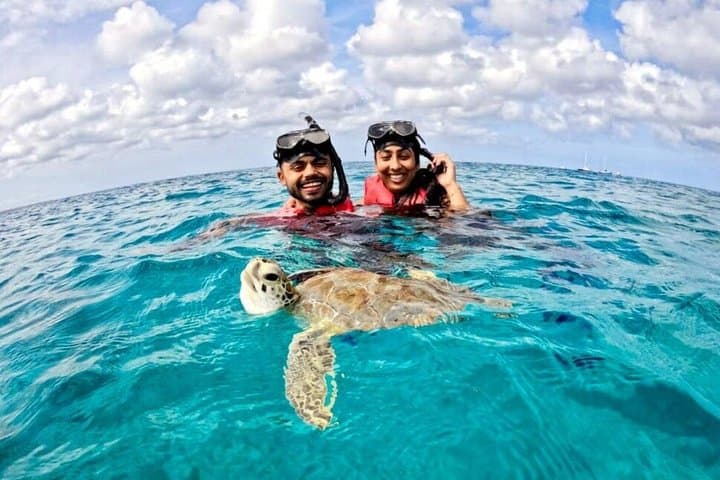 Turtle Spotting Snorkeling Excursion in Aruba