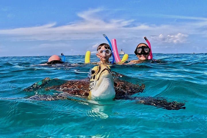 Private Turtle Snorkeling Tour at Tres Trapi, Aruba